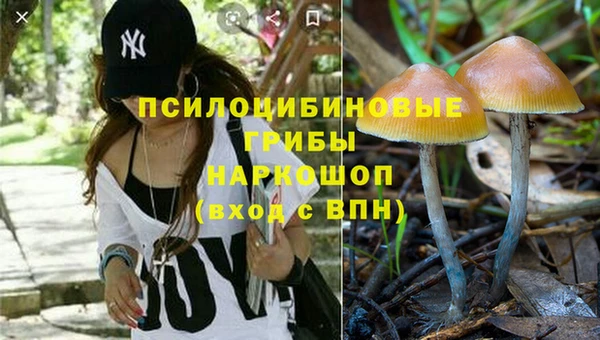 гидра Алзамай