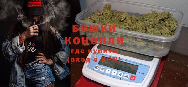 бошки Алексин
