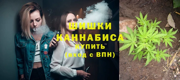 бошки Алексин