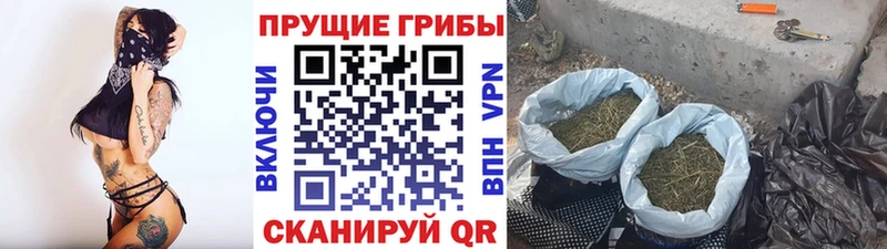 Галлюциногенные грибы мухоморы  Бердск 