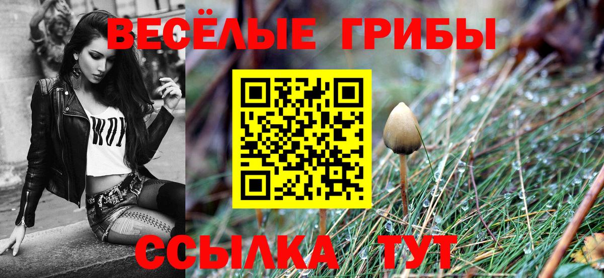 Псилоцибиновые грибы мицелий Бердск