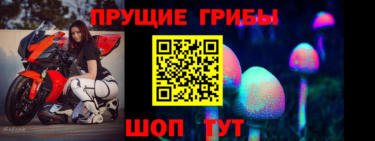 Псилоцибиновые грибы ЛСД  Вход с VPN  сколько стоит  Бердск  Галлюциногенные грибы MAGIC MUSHROOMS 